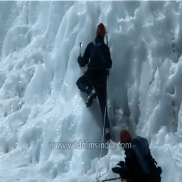 Kinetics interpolation result 3