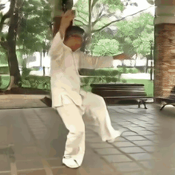Taichi image-to-video result 1