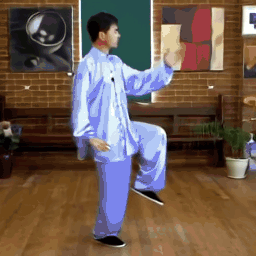 Taichi image-to-video result 2