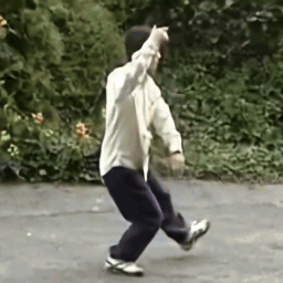 Taichi image-to-video result 3