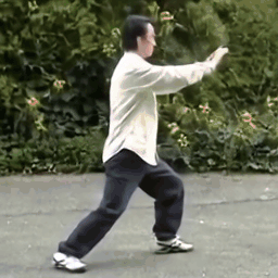 Taichi image-to-video result 4