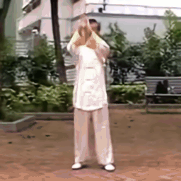 Taichi image-to-video result 5